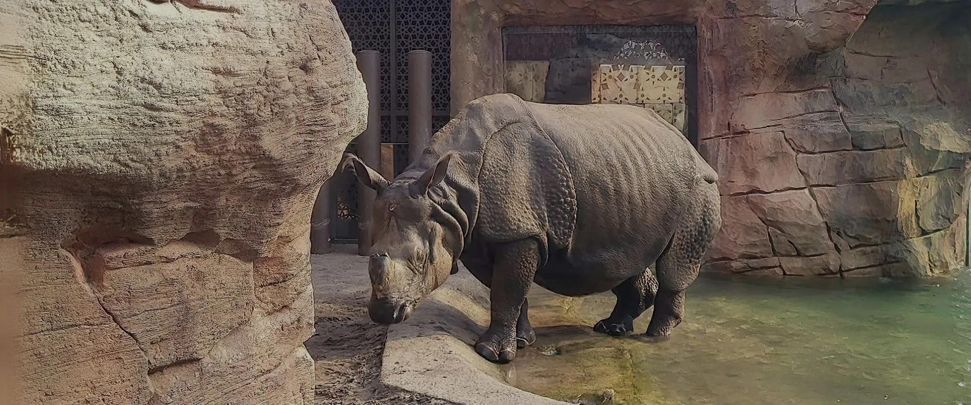 Berlin Zoo: Enclosure for armoured rhinoceroses